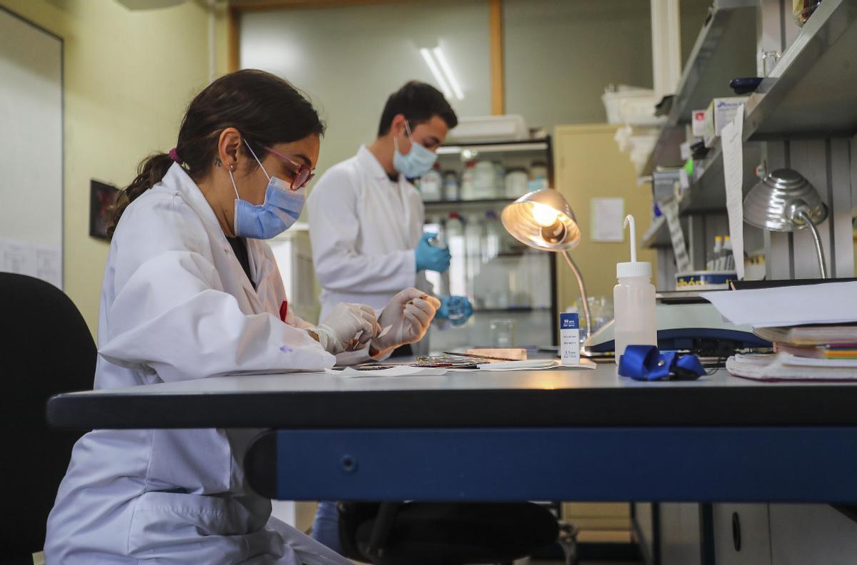 Varios investigadores valencianos en la Universitat de València (UV)