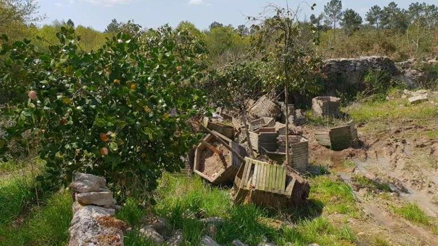 Camelias y maceteros tirados en la finca privada en O Lago. // FdV