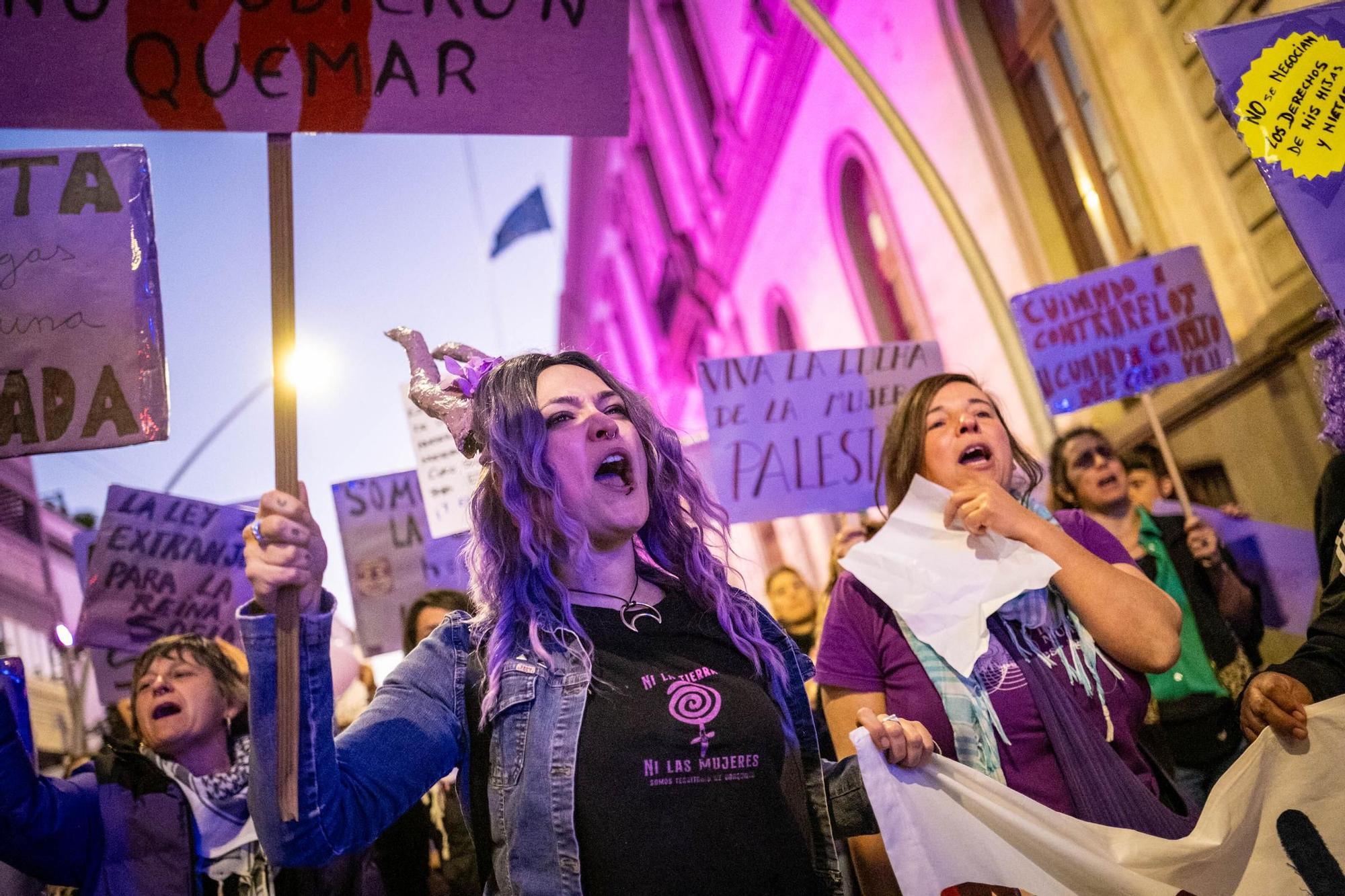 Manifestación del 8M en Santa Cruz