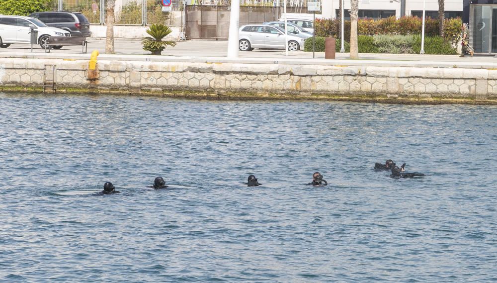 El MOE realiza una maniobra en el Puerto