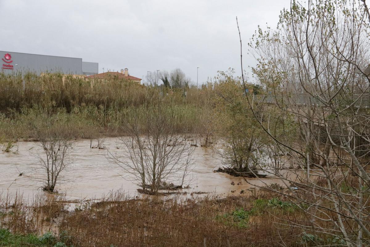 El riu Manol al seu pas pel Pont del Príncep