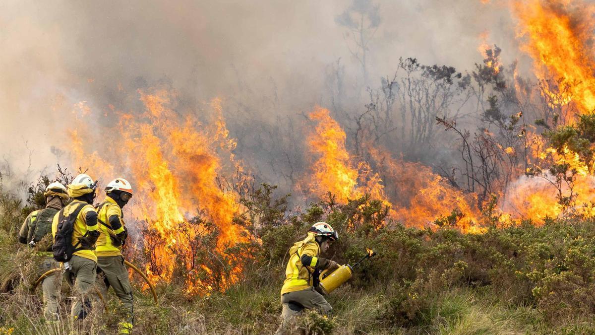 Profesionales utilizan el fuego como modo de prevención de incendios forestales