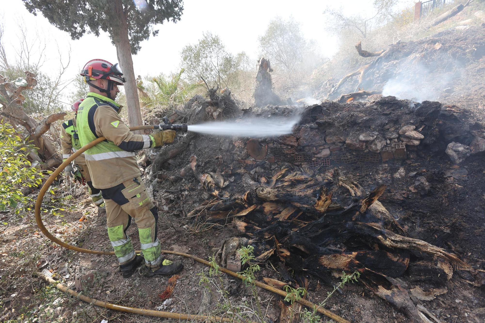 Galería de fotos del incendio forestal en el río Millars entre Vila-real y Almassora