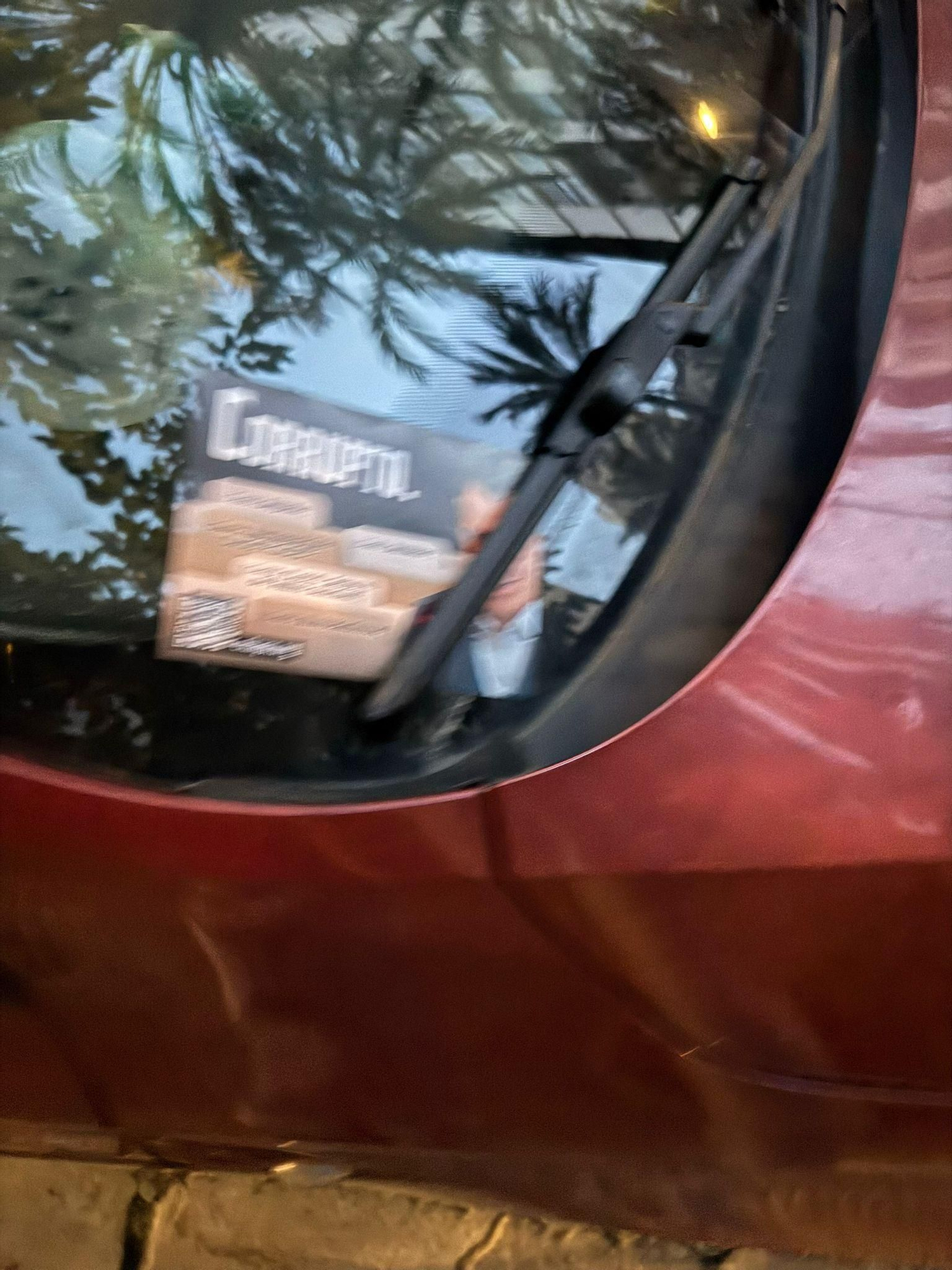 Galería de fotos: Castellón amanece plagada de pancartas en las que se señala a Pedro Sánchez como "corrupto"