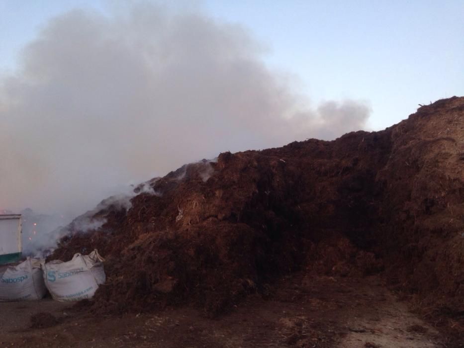 Incendio en la cantera de Fontcalent