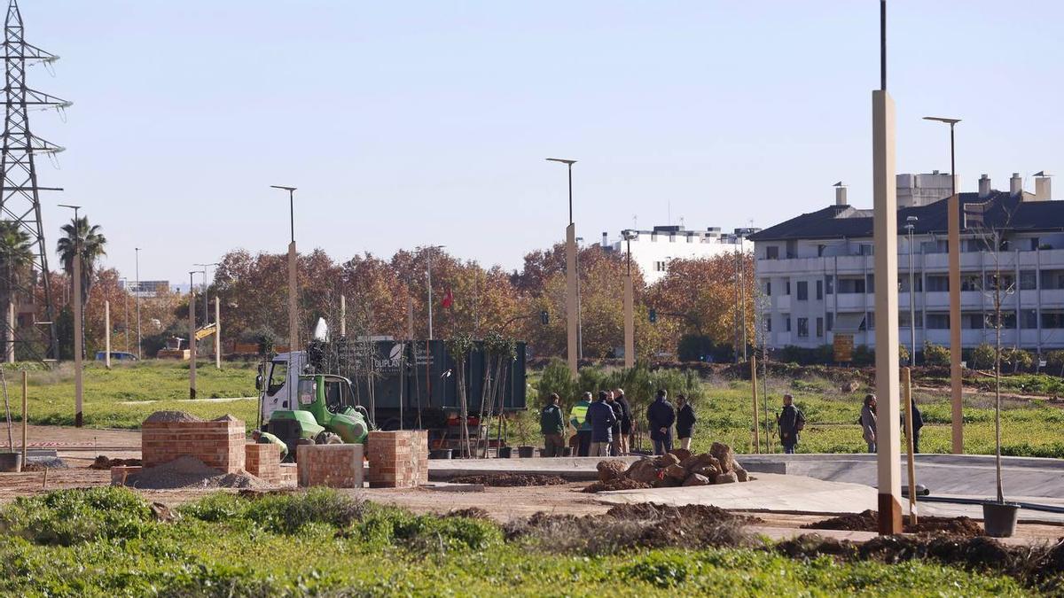 Plantación de árboles en una zona en expansión de Córdoba.