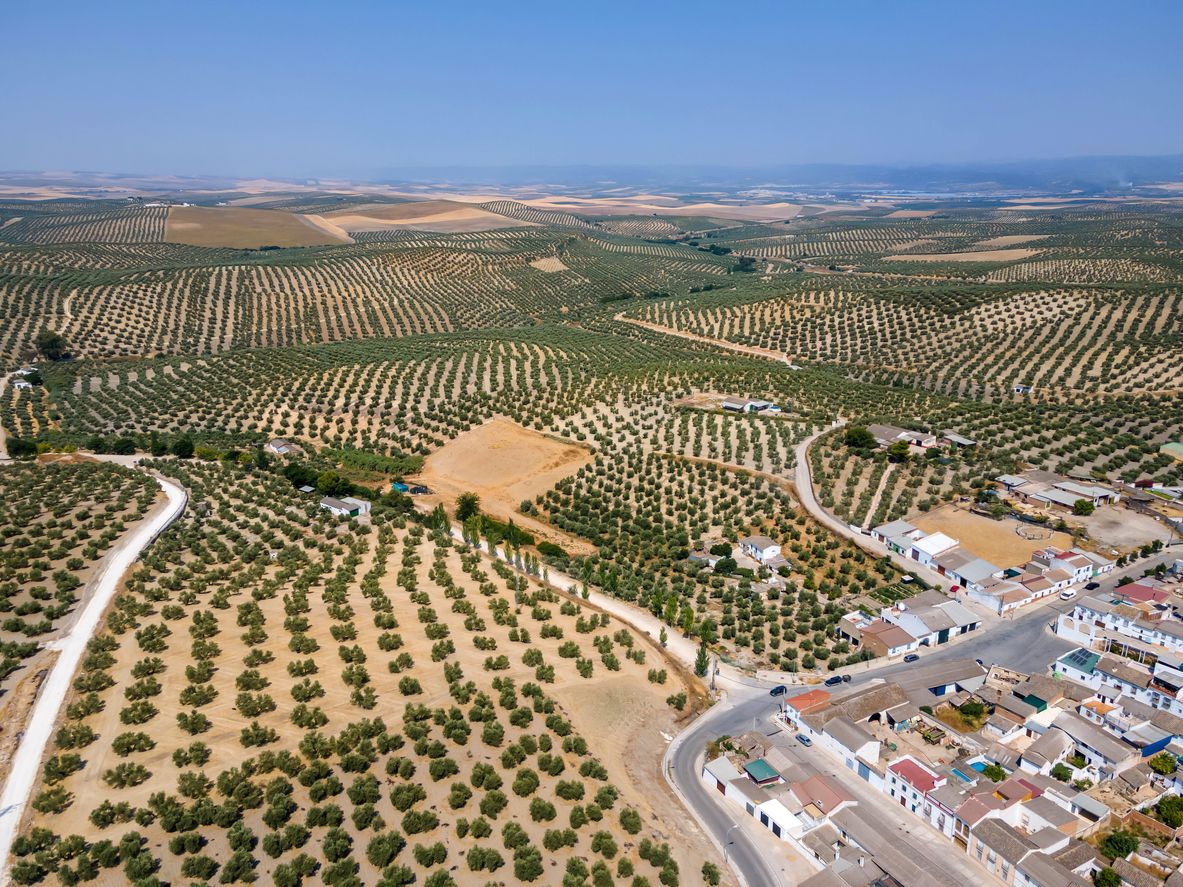 Bujalance es otro de los pueblos mágicos de España.