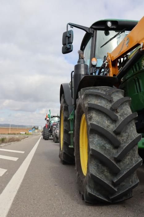 Tractorada de los agricultores y ganaderos malagueños contra los precios bajos que impone la industria.