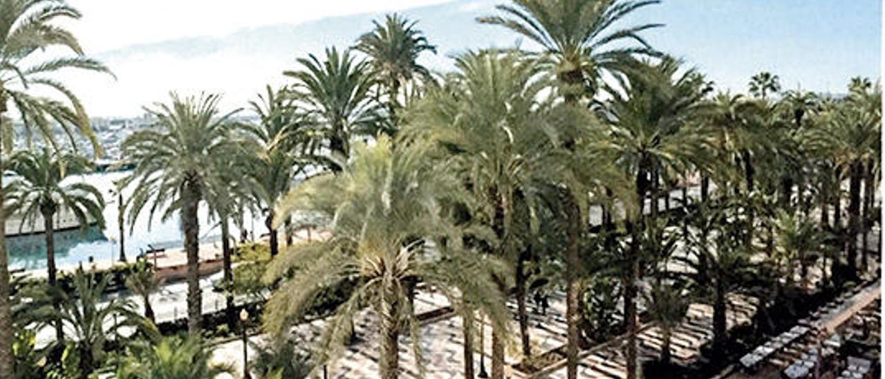 Turismo blinda para toda Europa la marca «Alicante City &amp; Beach»