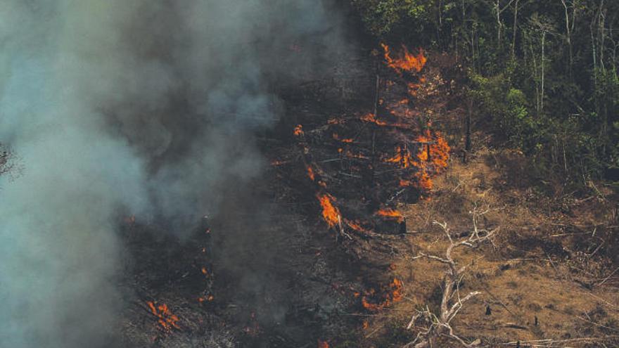 Imagen de satélite de los incendios.