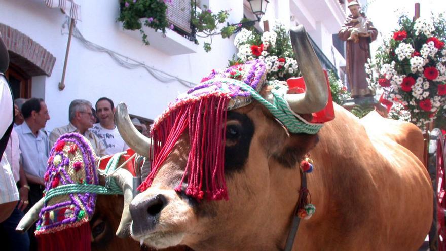 Málaga vuelve a lucir traje para salir de romería