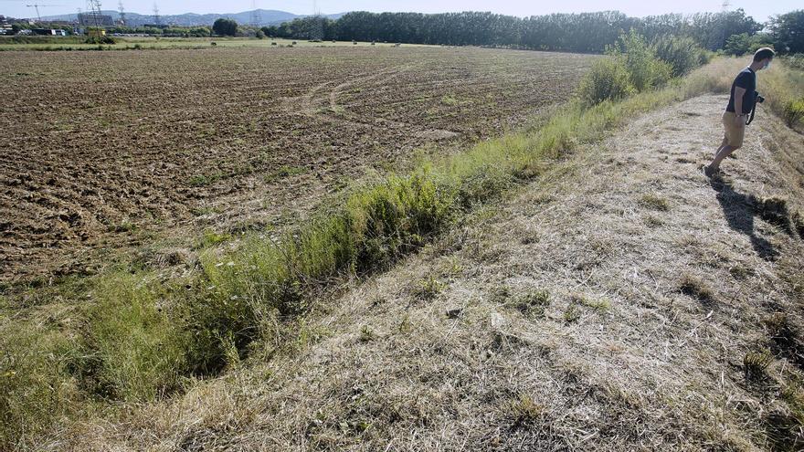 Metges gironins confien que el projecte del nou Trueta seguirà els terminis establerts