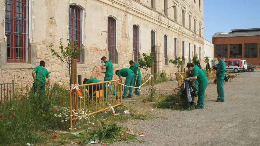 Trabajadores de un programa de formación concedido a la ciudad realizan trabajos en una zona ajardinada.