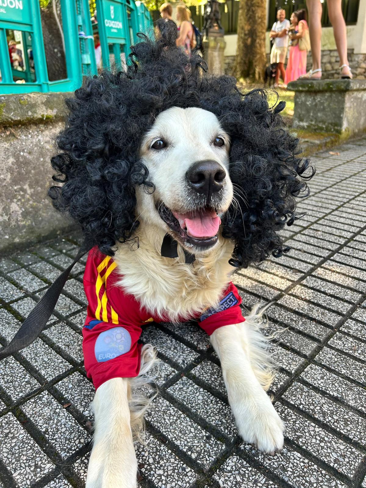 Cucurella, la perra que enamora a Somió