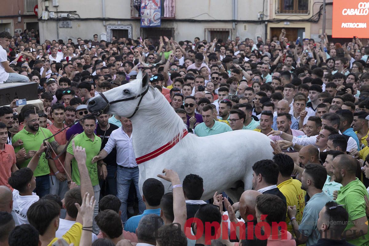 Fiestas de Caravaca | Entrega de premios del concurso morfológico