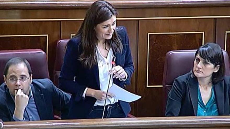 El PSOE recibe a Alonso como &quot;el verdugo de las mujeres&quot;