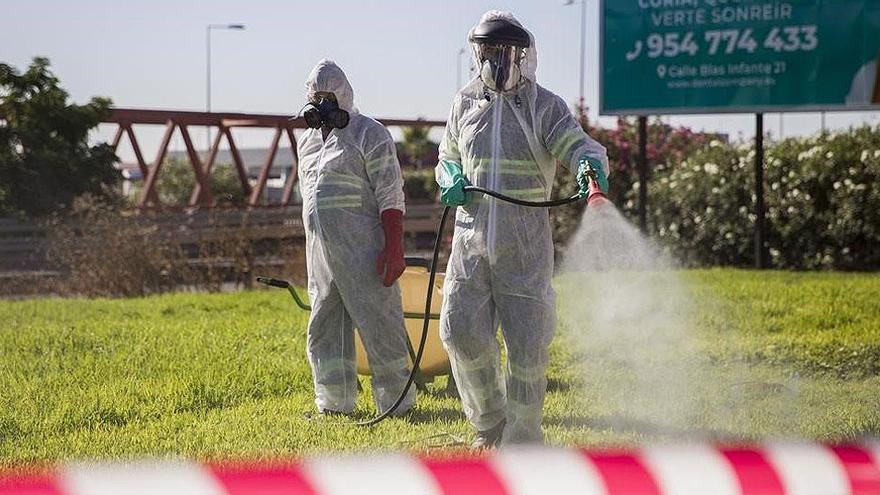 Trabajadores fumigan en Coria del Río por la presencia del virus del Nilo.