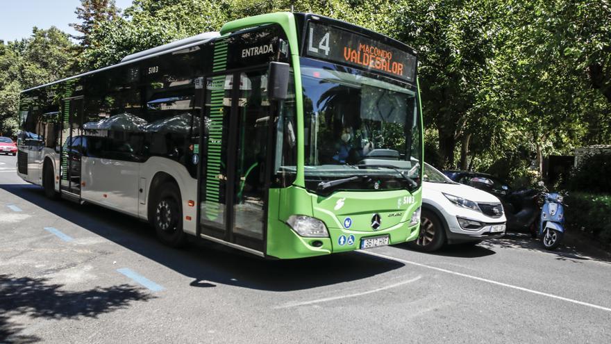 La gratuidad del autobús de Cáceres para los menores de 16 años cuesta 169.000 euros