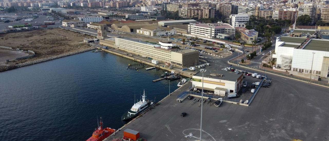 Imagen aérea de archivo del puerto de Alicante, en el que está prevista la construcción del futuro gran centro de congresos de Alicante. | ALEX DOMÍNGUEZ