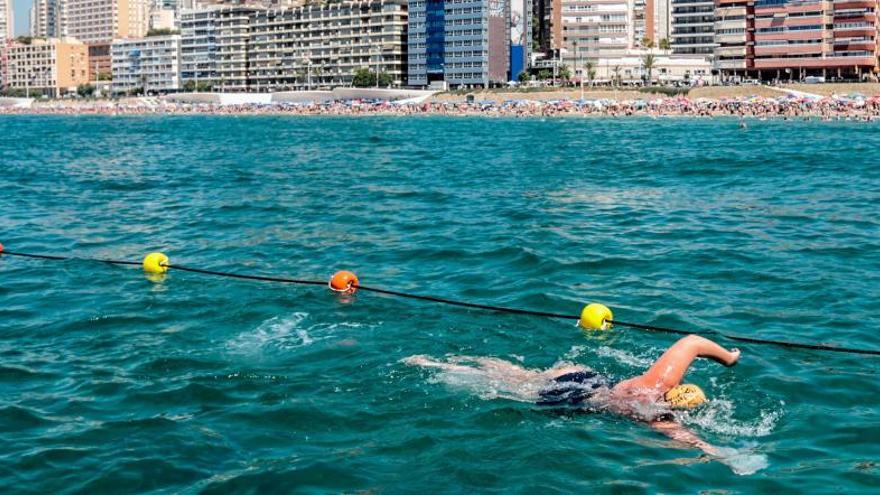 Benidorm habilita una calle para practicar la natación en la playa de Poniente