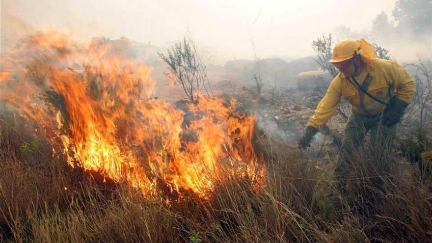 Los forestales anuncian una huelga indefinida