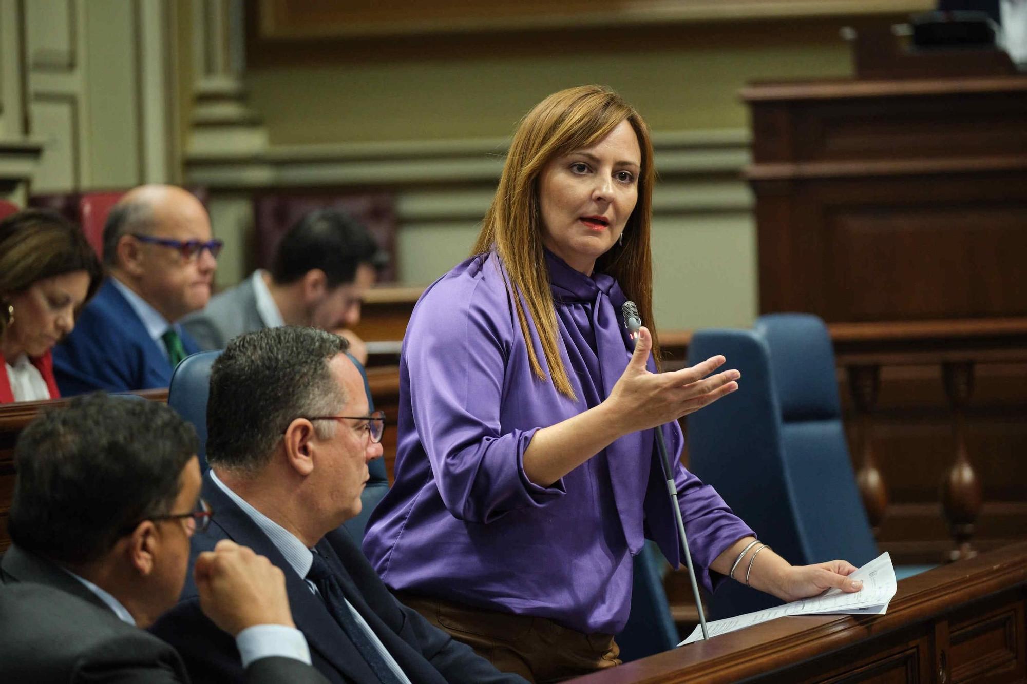 Pleno del Parlamento de Canarias (07/11/2023)