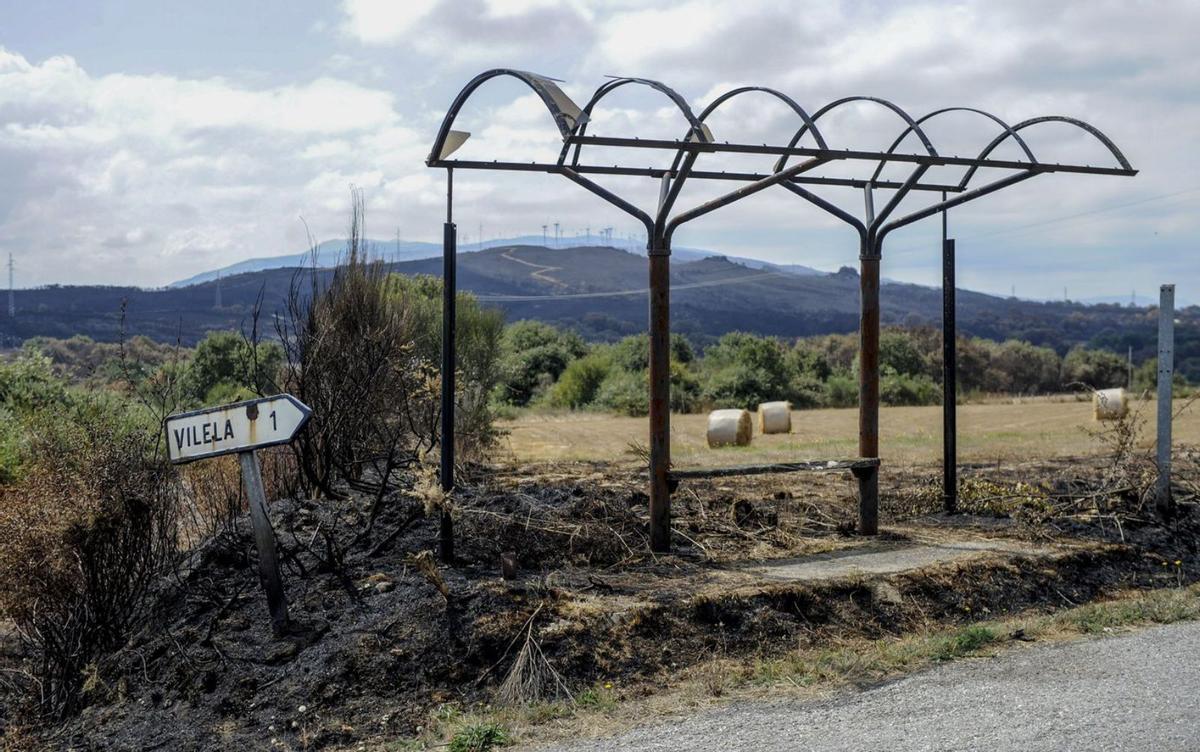 Marquesina de autobús devastada por un incendio forestal en Cualedro