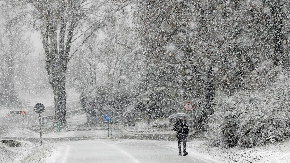Un hombre pasea bajo la nieve caída esta mañana en Valladolid debido al temporal que afecta a la Península.