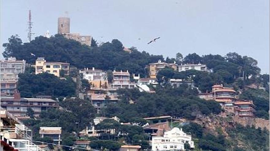 El difícil acord pel bosc de Sant Joan