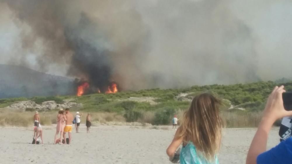 Im Gebiet von sa Canova im Nordosten von Mallorca ist am Mittwochnachmittag (17.8.) erneut ein Waldbrand ausgebrochen, nachdem es nur zwei Tage zuvor bereits gebrannt hatte. Das Feuer war gegen 2 Uhr nachts unter Kontrolle und zerstörte rund 23 Hektar Kiefernwald.