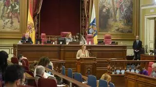 El Parlamento canario se une para exigir a Madrid la derivación obligatoria de menores migrantes