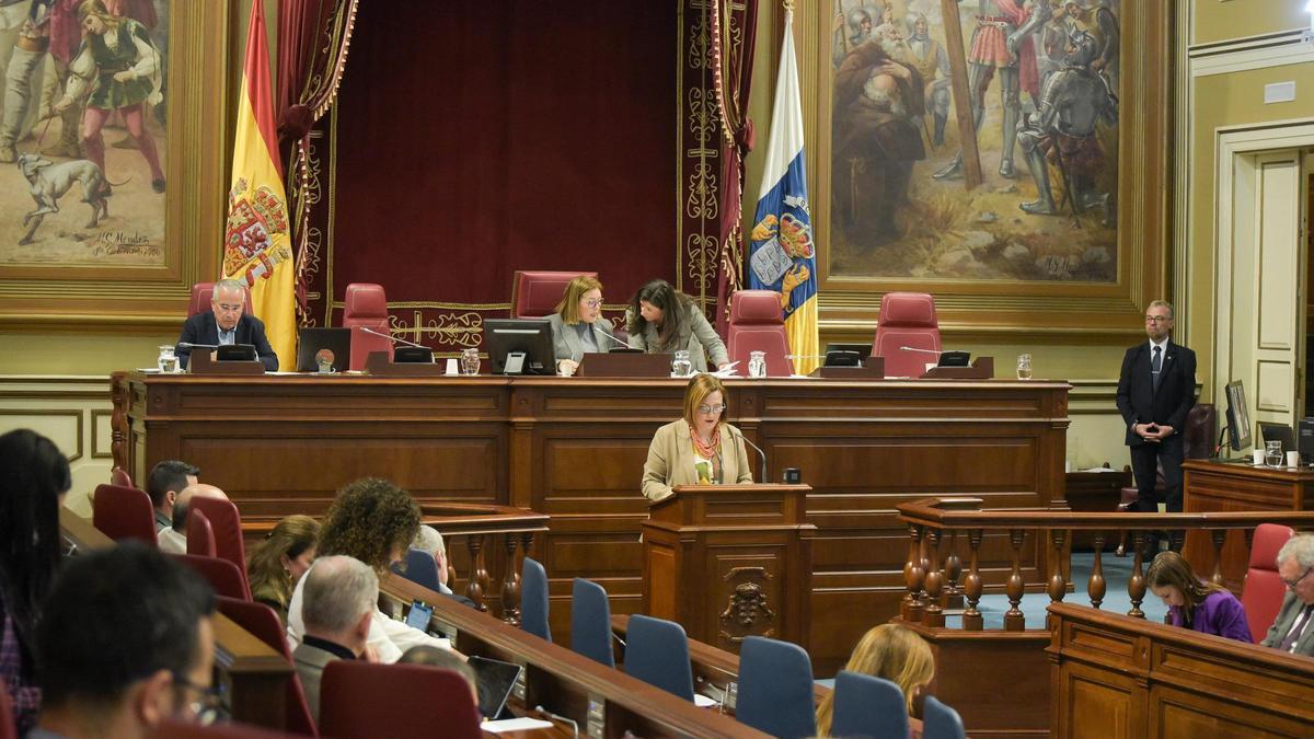 La consejera de Bienestar Social, Candelaria Delgado, esta mañana en el pleno.