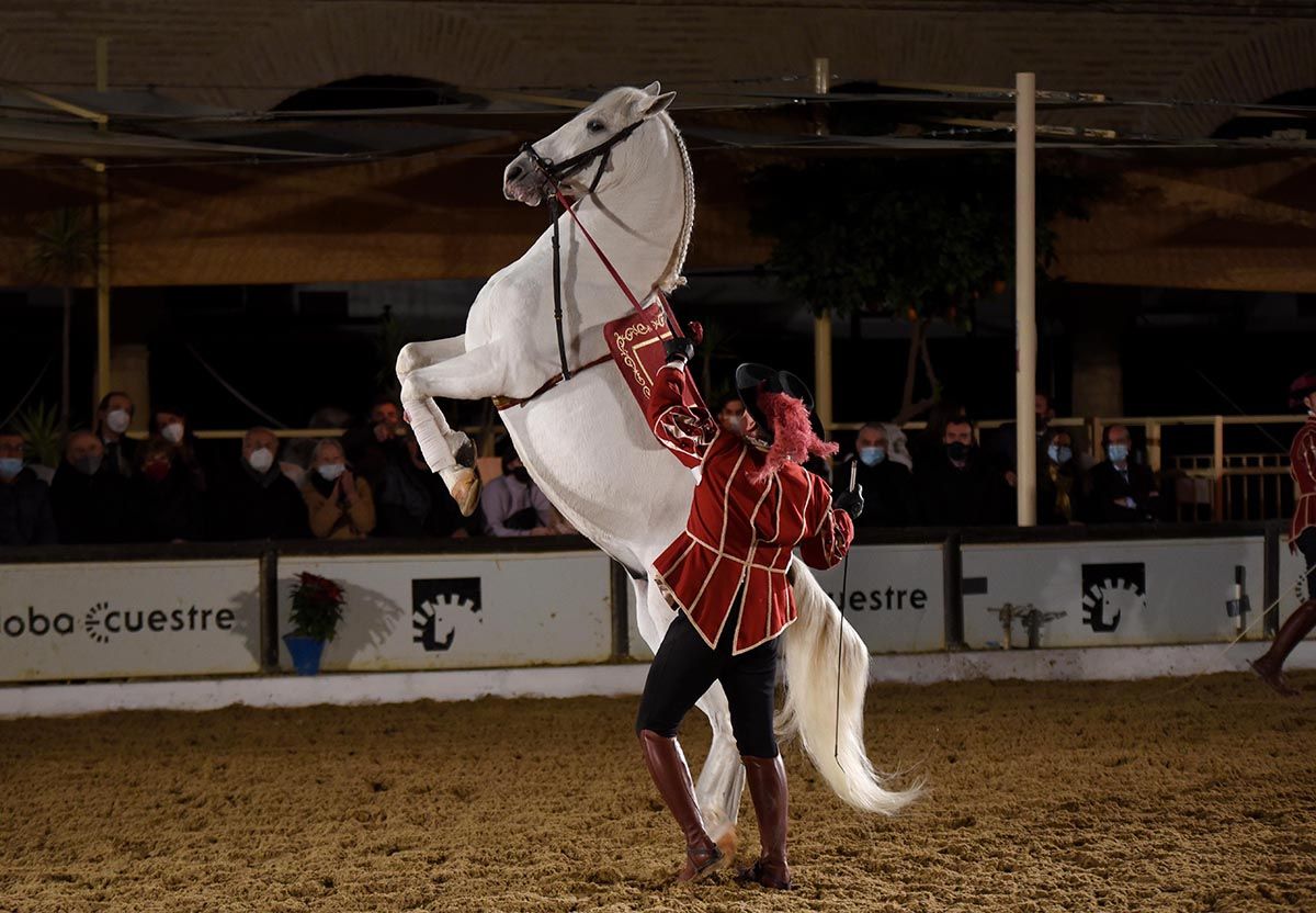 La escuela francesa de equitación Cadre Noir celebra en Córdoba el 25 aniversario de Cabalcor