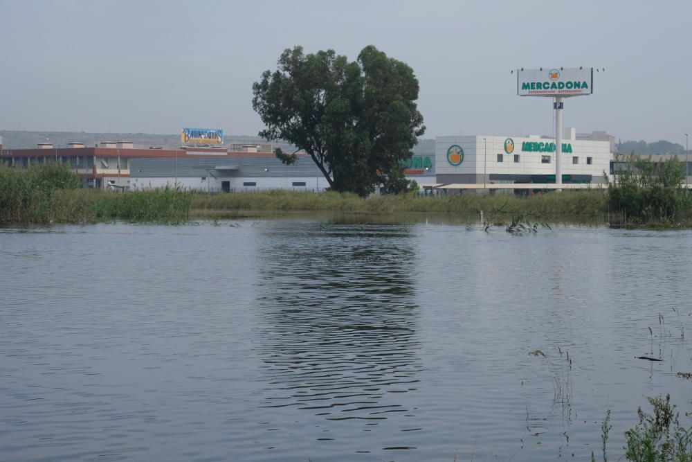 La DANA deja cuantiosos daños en este municipio de la Vega Baja