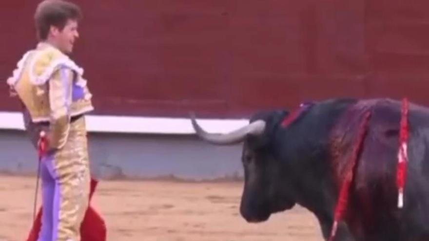 Vídeo: Borja Jiménez, el torero que resucitó con los victorinos, quiere impactar en Castellón