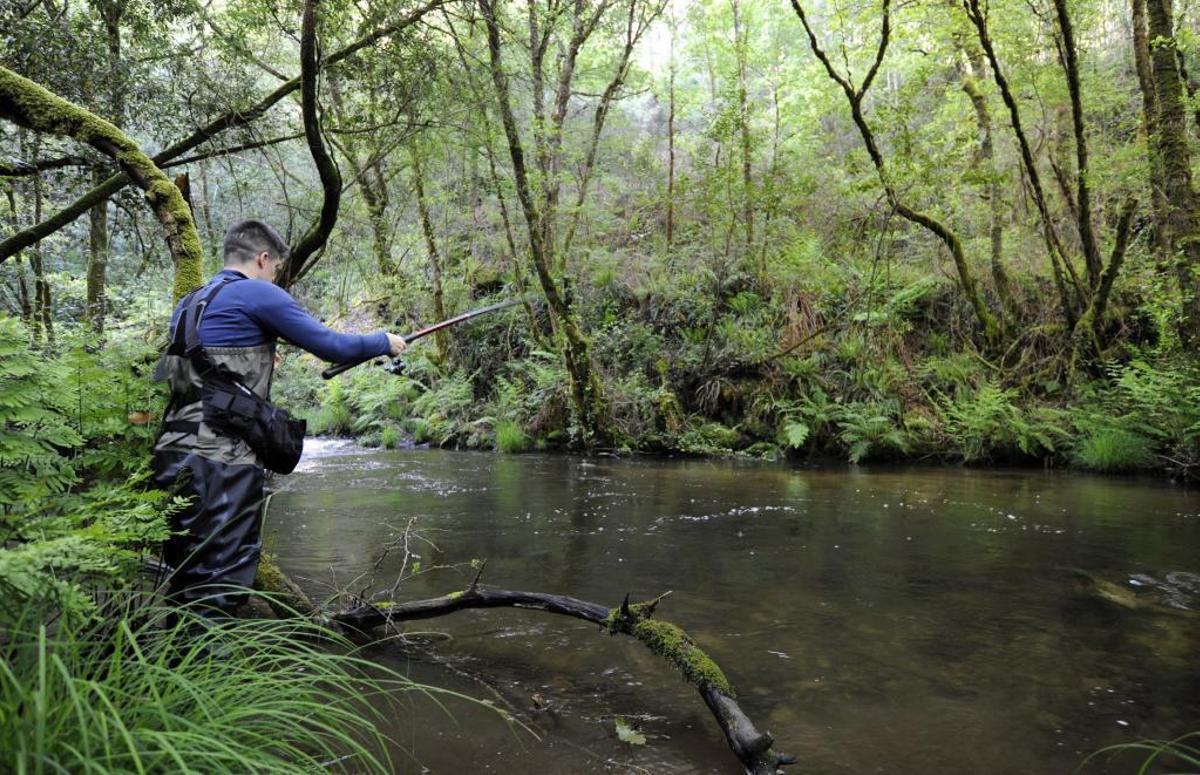 Un pescador, esta semana, en el río Curantes de A Estrada. // Bernabé / Javier Lalín
