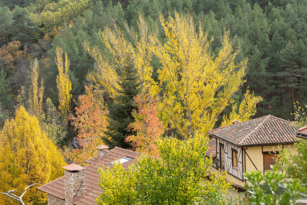 Casa rural asomándose a través de los árboles de otoño en Montejo de la Sierra, Madrid.