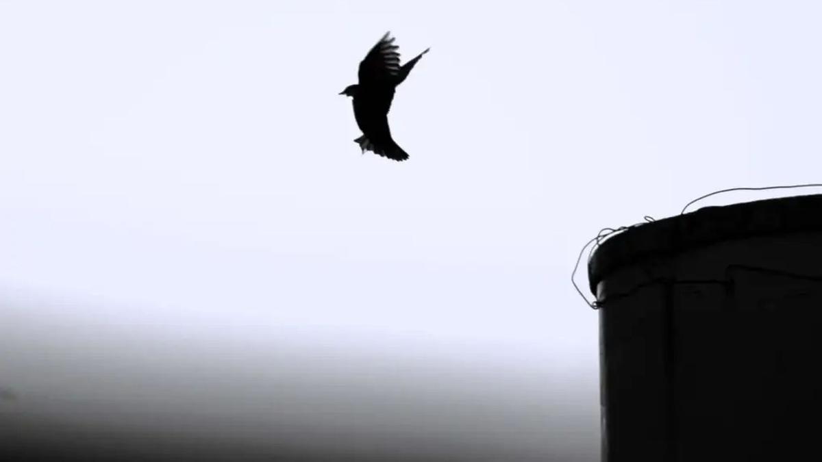 Una de les imatges del projecte 'Instants Fotozine' de Maria Medina-Vicent que s'exposarà a L'Espai Cultural d'ACPV.