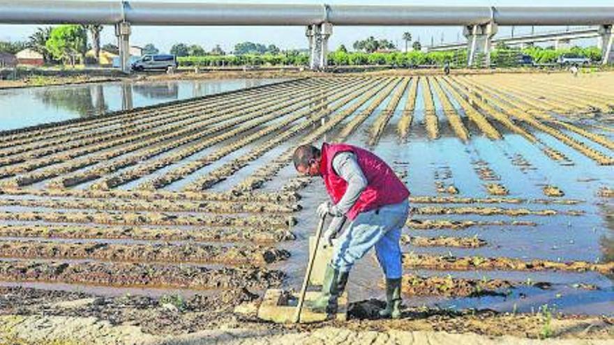 Un agricultor,  en l’Horta. | Toni Sevilla