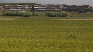 Apartamentos de lujo, detrás de unos campos de arroz, en el Baix Empordà. 