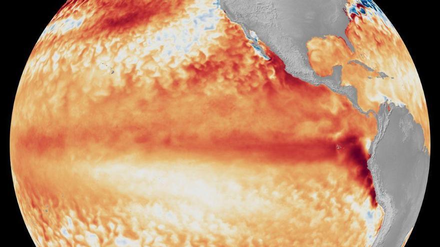 El Niño 2026-2027 pourrait être très fort : les coraux des Galapagos révèlent un millénaire d'intensification