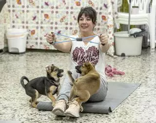 Pilates para adoptar cachorros en Alicante