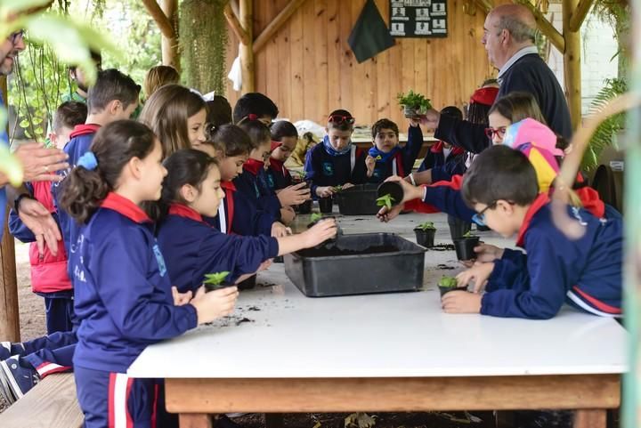 Visita escolar a la Granja Agricola del Cabildo