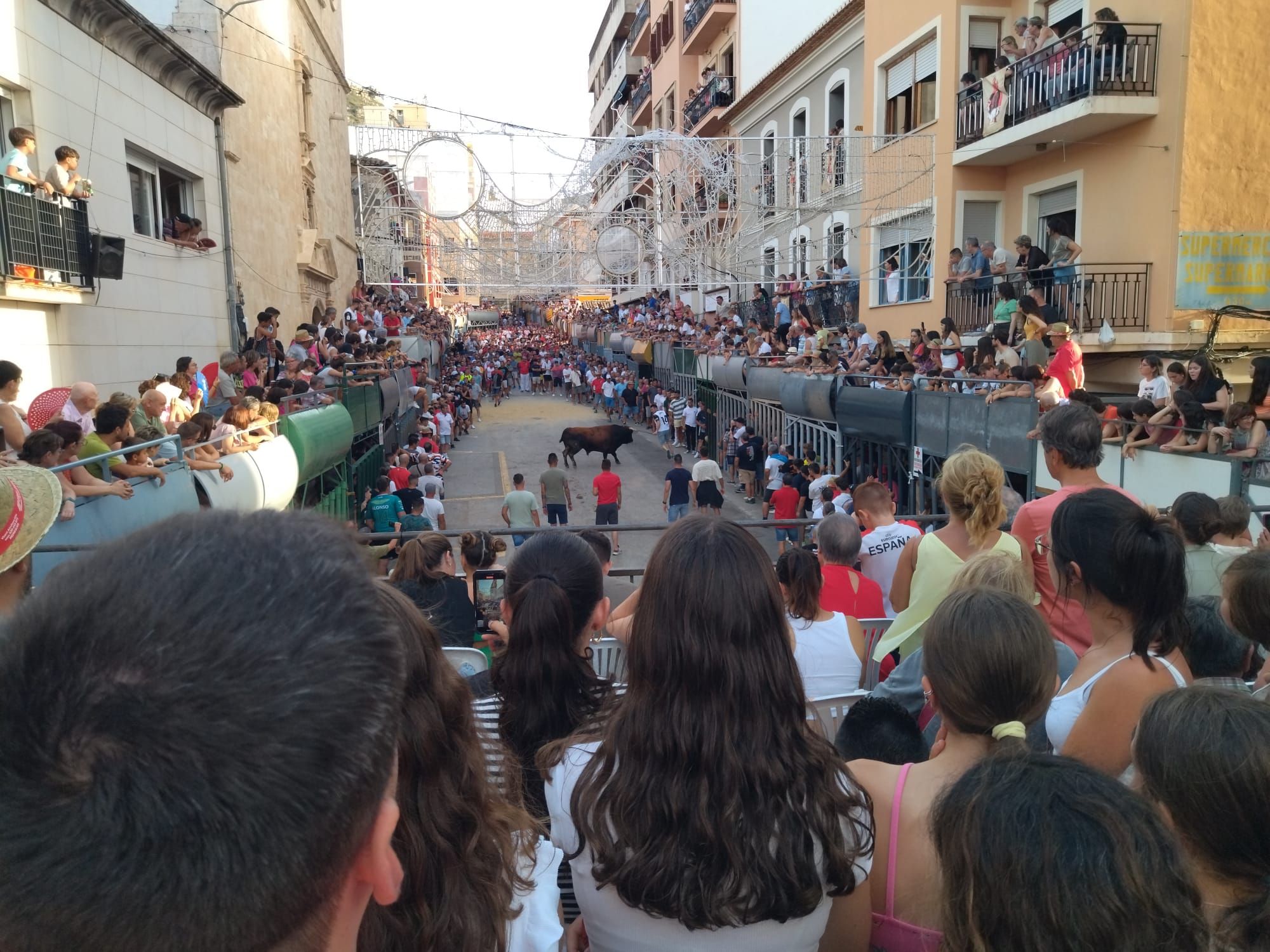 Pasión por los "bous al carrer" en Pedreguer