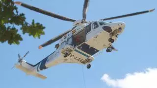 Fallece un operario de un taller de empleo en Larouco, Ourense tras ser atacado por un enjambre de avispas.