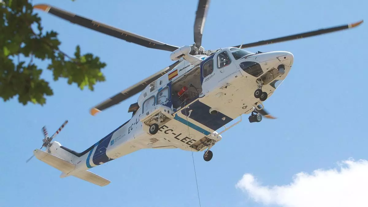Muere un operario de O Porriño que trabajaba en un taller de empleo en Larouco tras ser atacado por un enjambre de avispas