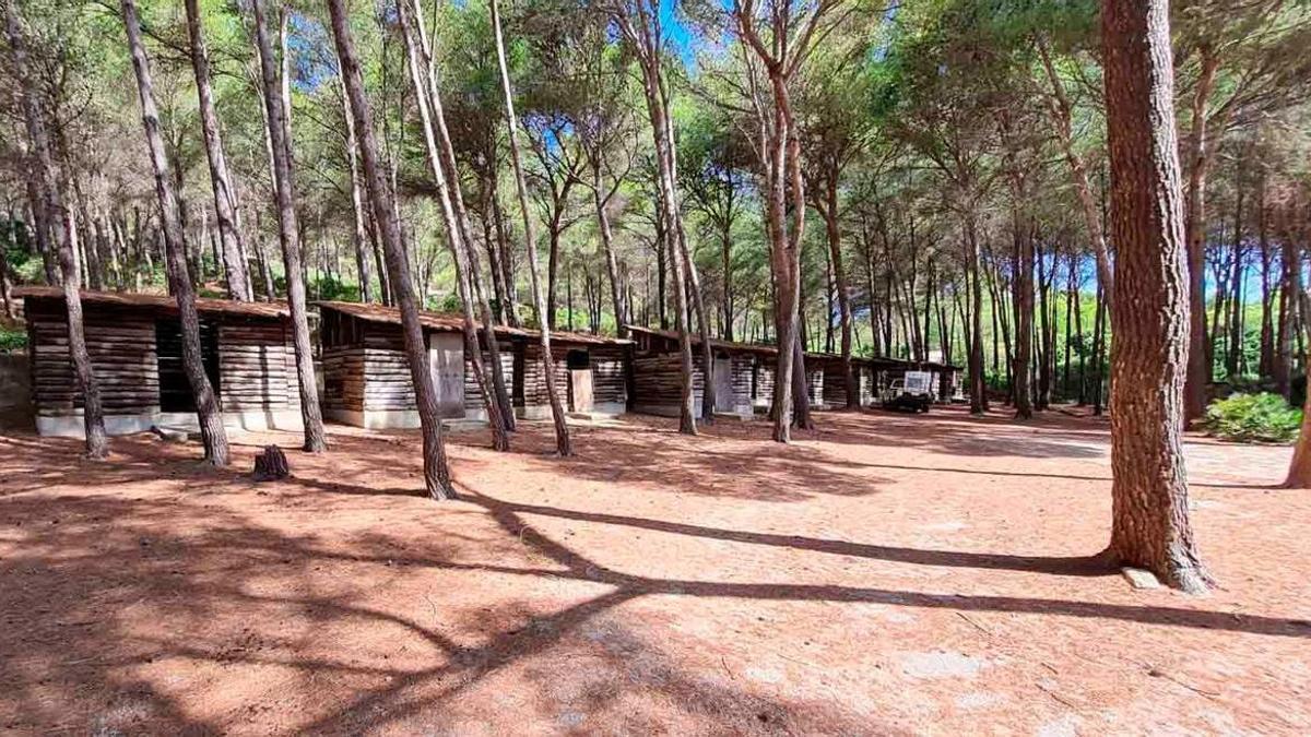 Una imagen de las cabañas de madera de los campamentos de Cala Murta, en Pollença.