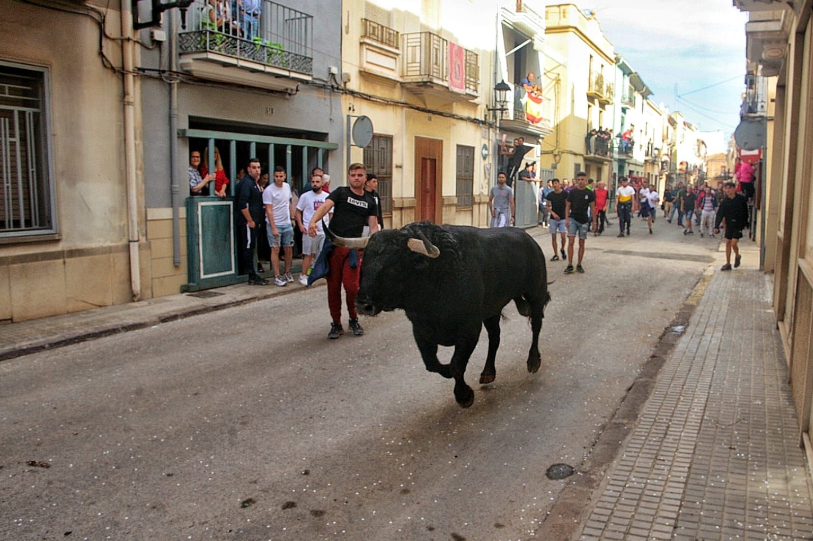 Las mejores imágenes de la jornada de toros del miércoles en Almassora