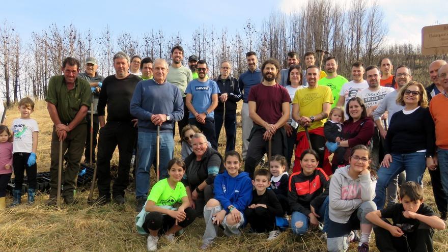 Valdés se repuebla con la iniciativa privada: un grupo de vecinos de Trevías planta 323 árboles en Ambasvías