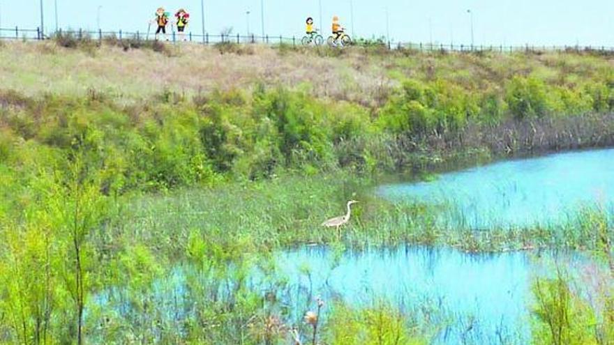 Recreación hecha por un integrante de Agró sobre el paseo ciclopeatonal junto al marjal. | ÁNGEL VILLALBA